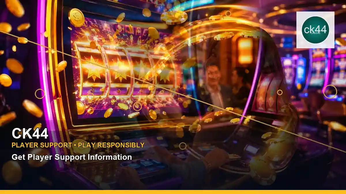 CK44 প্লেয়ার সহায়তা ও responsible gaming | Bangladesh guide — account safety details · 2 — the great icescape